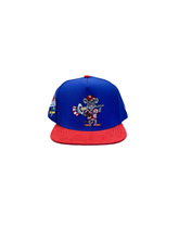 Load image into Gallery viewer, Yankee Mouse SnapBack